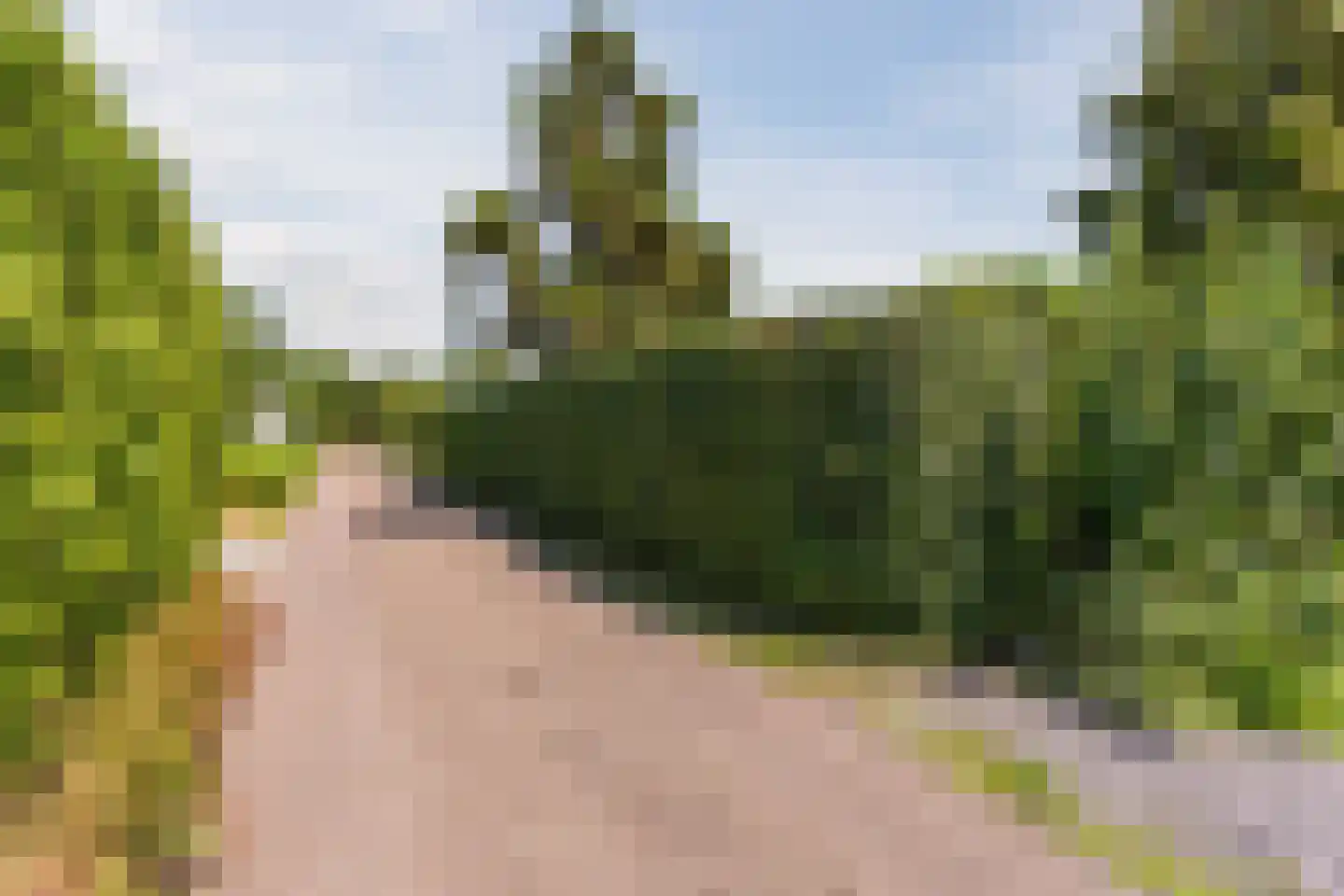 Watertuin 28 Wilnis thumbnail 39