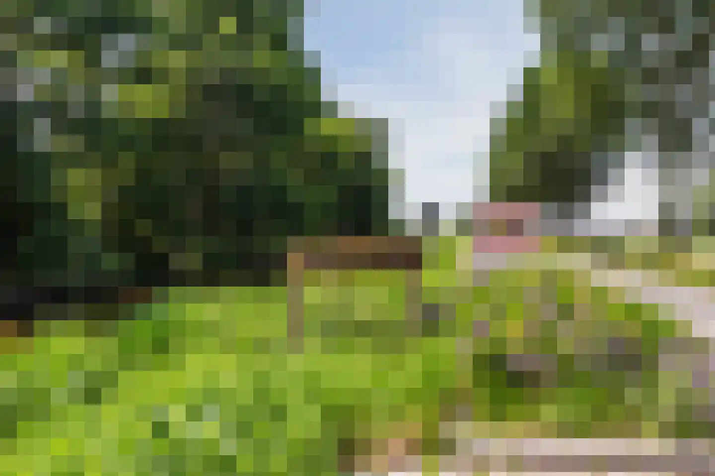Watertuin 28 Wilnis thumbnail 43