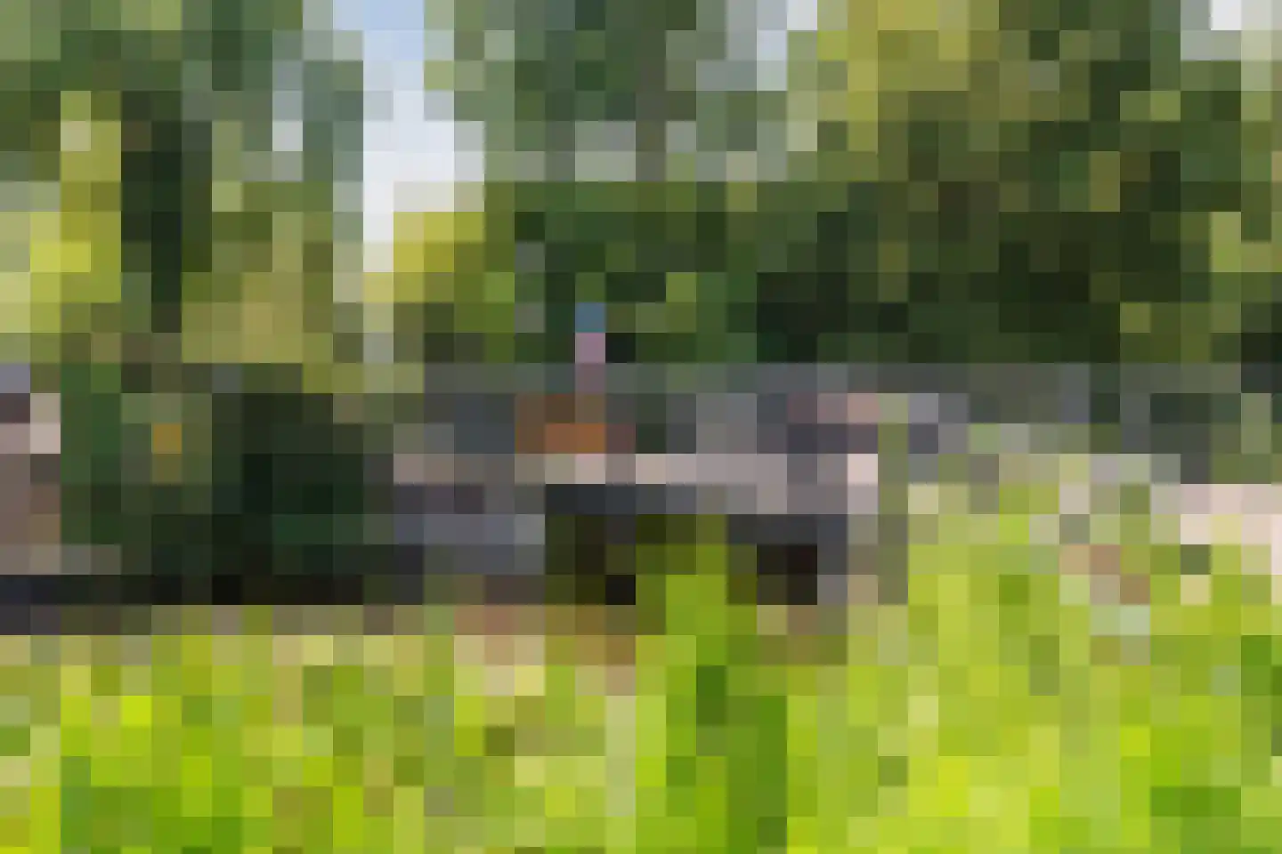 Watertuin 28 Wilnis thumbnail 44