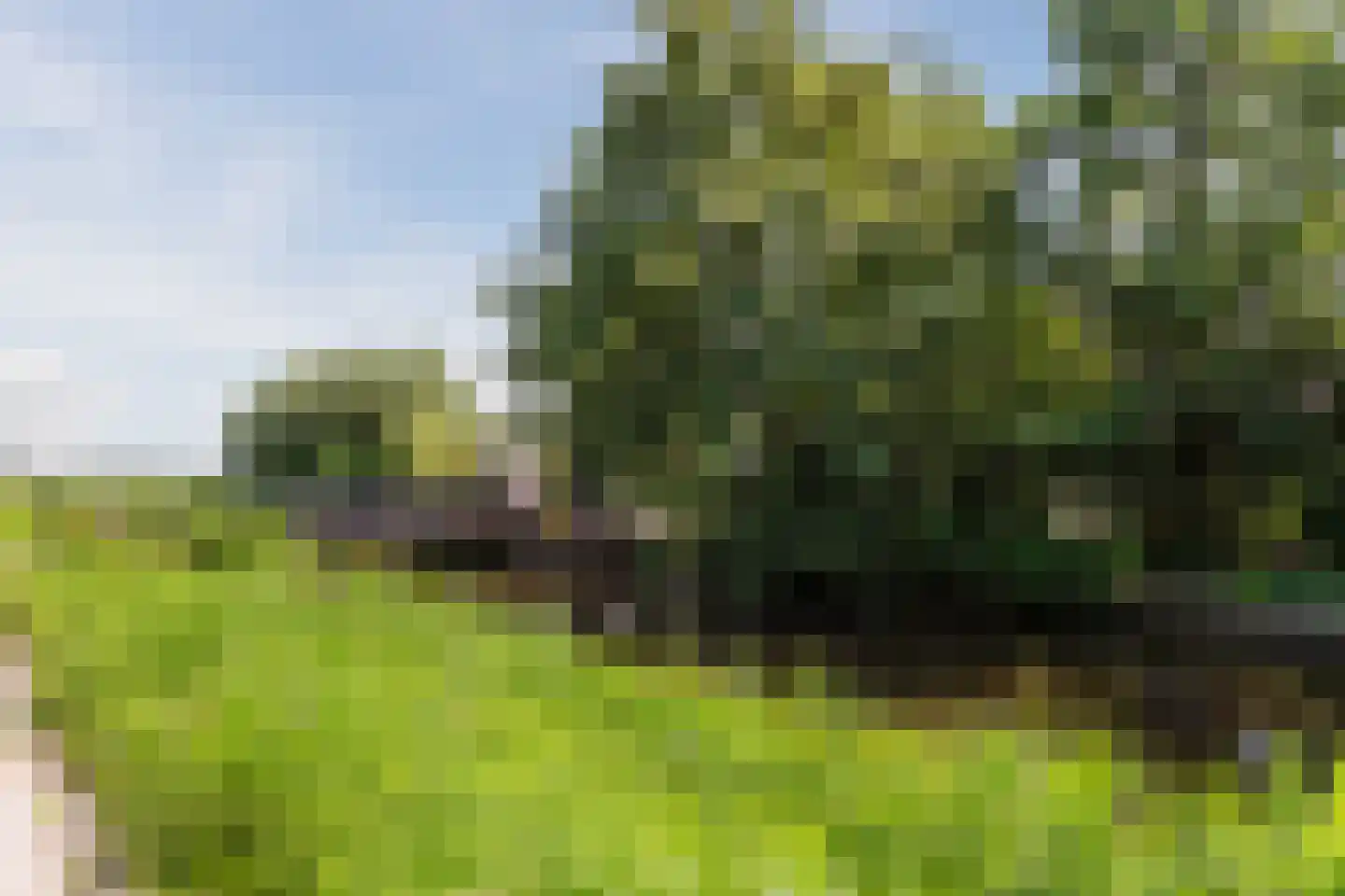 Watertuin 28 Wilnis thumbnail 45