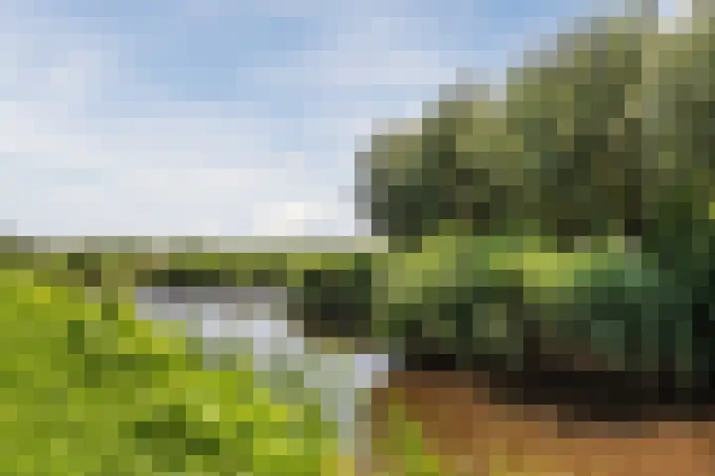 Watertuin 28 Wilnis thumbnail 47