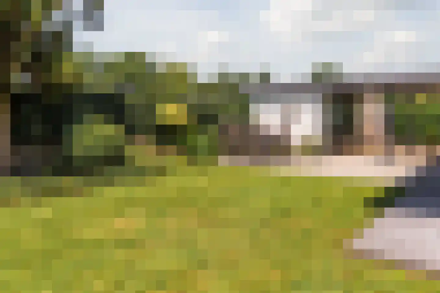 Watertuin 28 Wilnis thumbnail 5