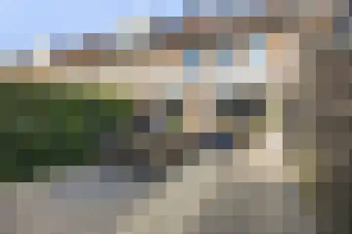 Watertuin 290 Barneveld thumbnail 23