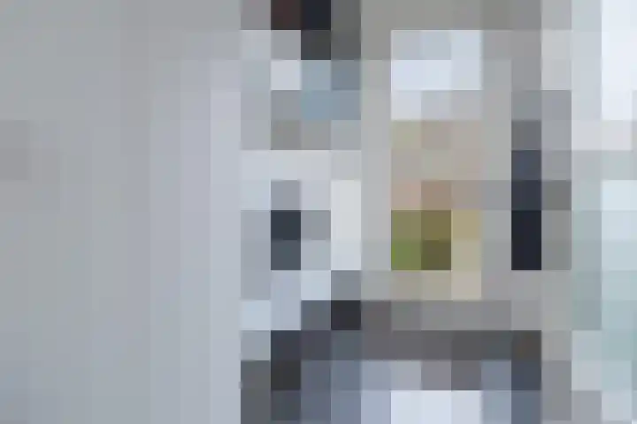 Watertuin 300 Barneveld thumbnail 17