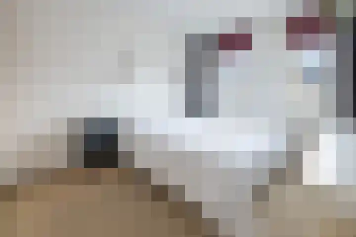 Watertuin 300 Barneveld thumbnail 21