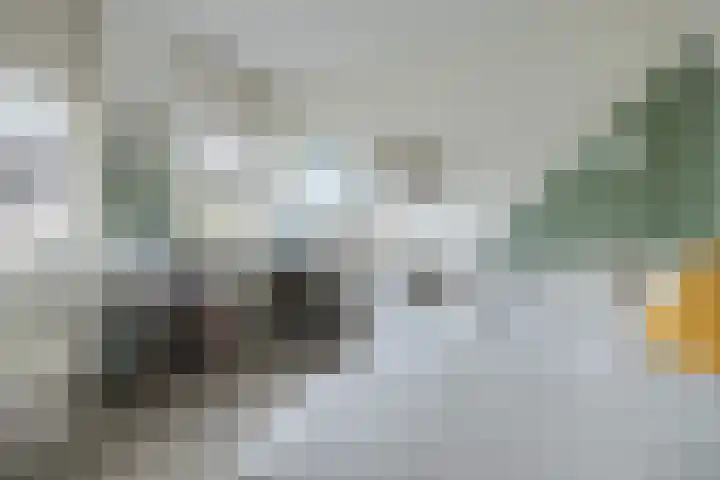 Watertuin 300 Barneveld thumbnail 23