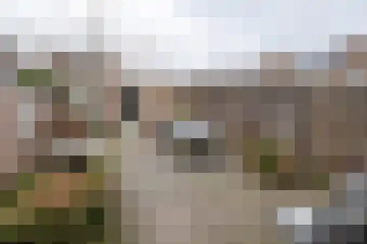 Watertuin 300 Barneveld thumbnail 37