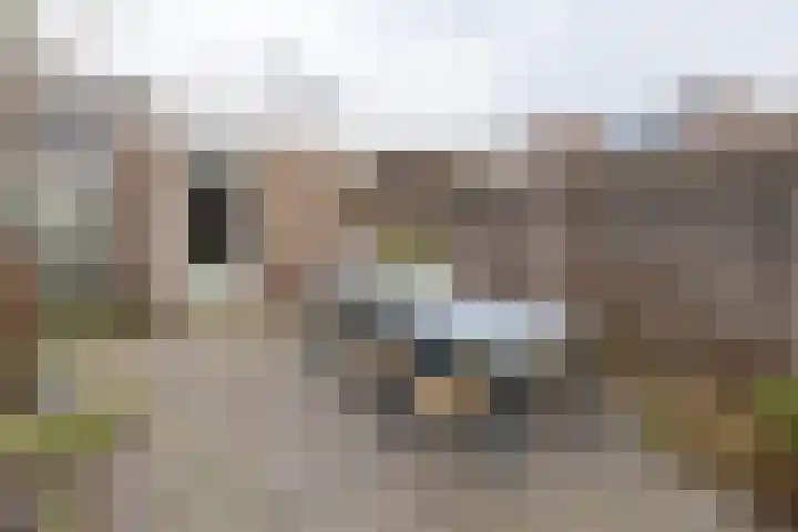 Watertuin 300 Barneveld thumbnail 38