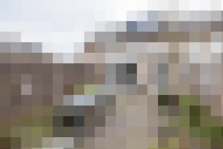 Watertuin 300 Barneveld thumbnail 40