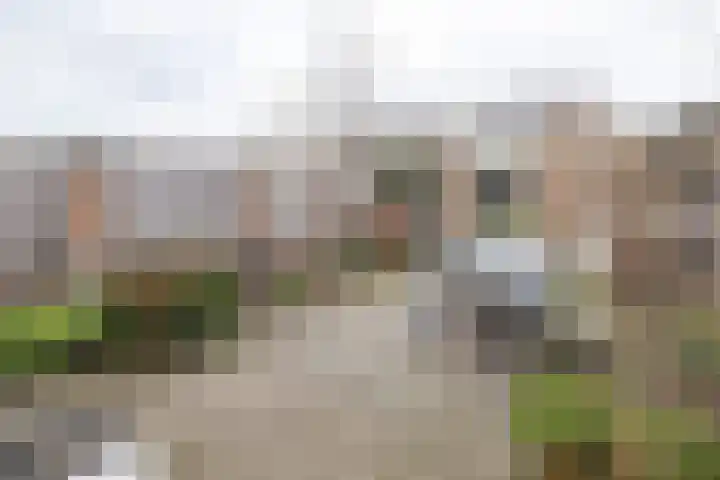 Watertuin 300 Barneveld thumbnail 41