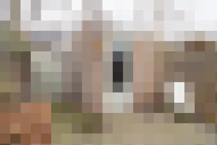 Watertuin 300 Barneveld thumbnail 42
