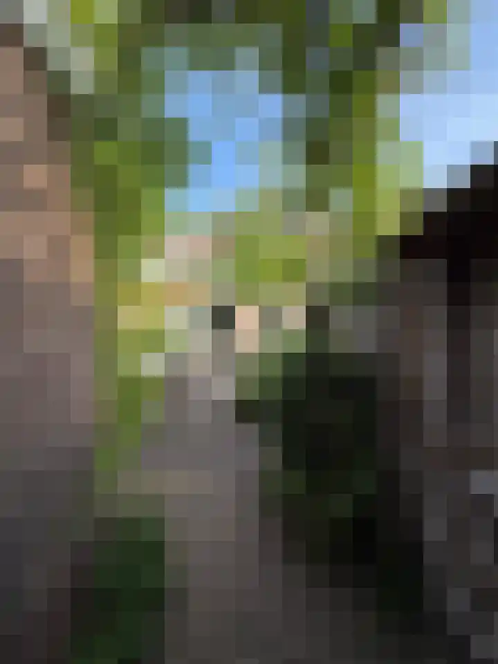Watertuin 300 Barneveld thumbnail 43