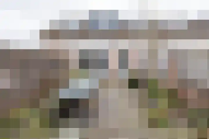 Watertuin 300 Barneveld thumbnail 44