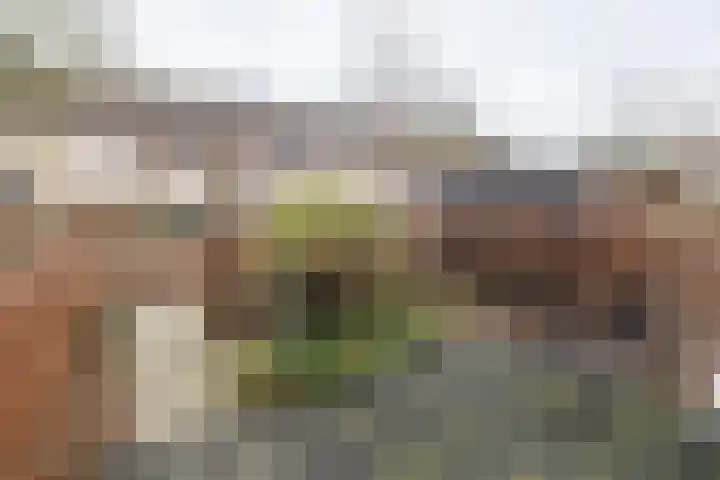 Watertuin 300 Barneveld thumbnail 46