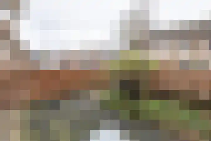 Watertuin 300 Barneveld thumbnail 47