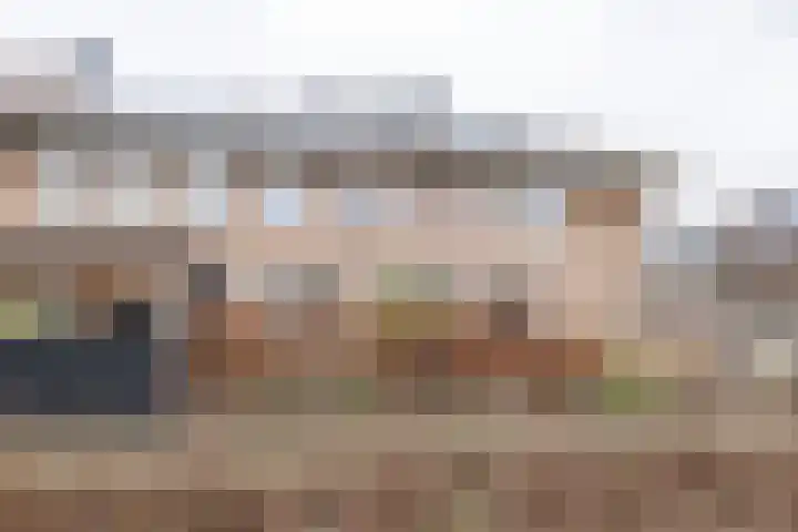 Watertuin 300 Barneveld thumbnail 48