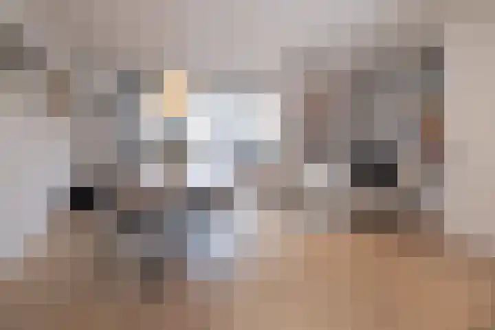 Watertuin 300 Barneveld thumbnail 6