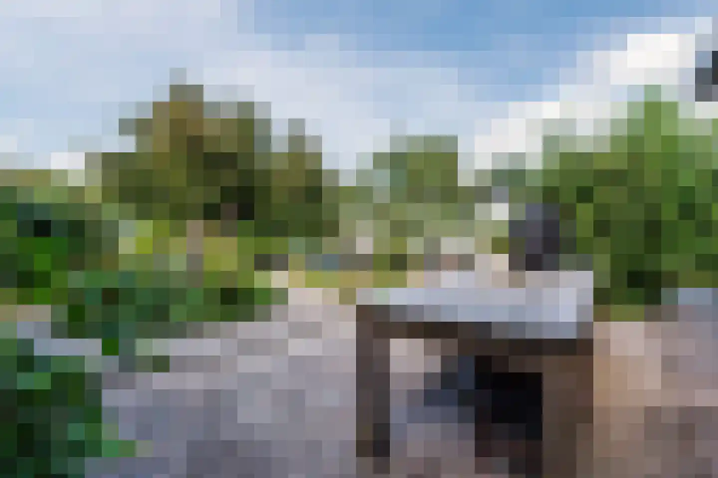 Watertuin 37 Wilnis thumbnail 31