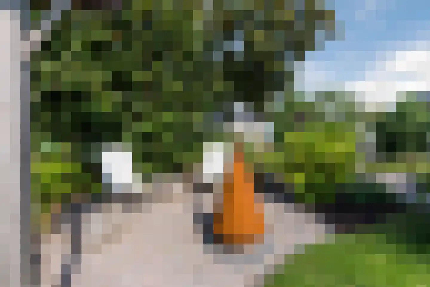 Watertuin 37 Wilnis thumbnail 35