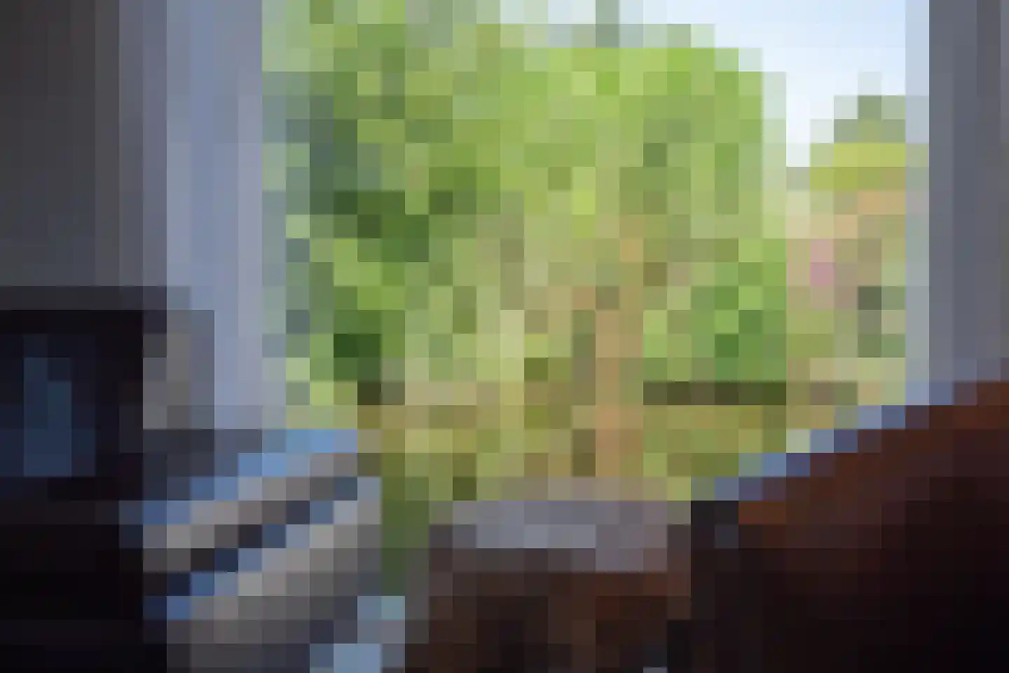 Watertuin 37 Wilnis thumbnail 4