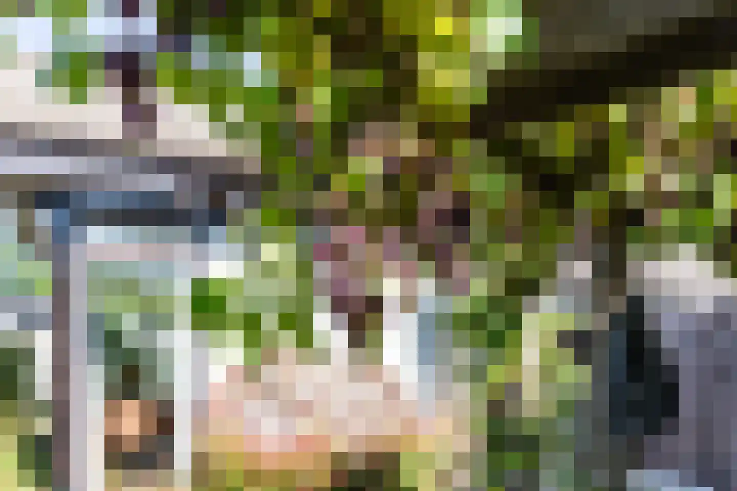 Watertuin 37 Wilnis thumbnail 40