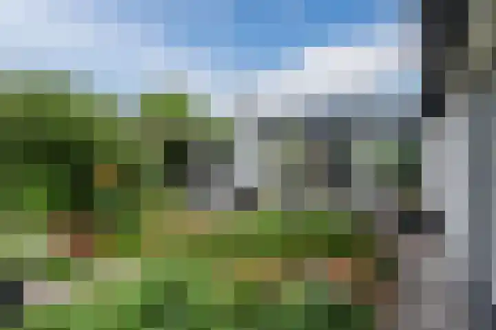 Watertuin 38 Wilnis thumbnail 32