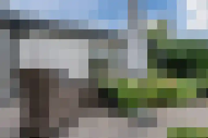 Watertuin 38 Wilnis thumbnail 33