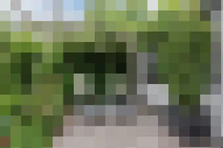 Watertuin 38 Wilnis thumbnail 34