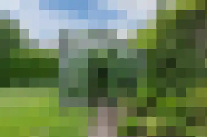 Watertuin 38 Wilnis thumbnail 35