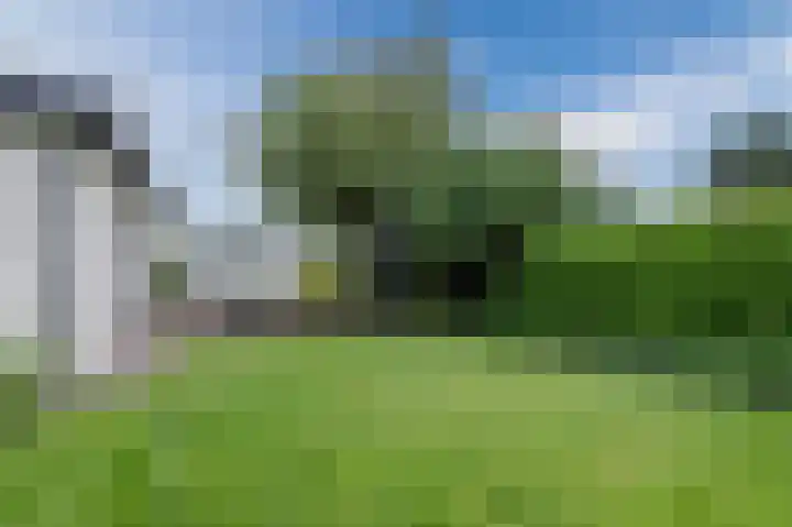 Watertuin 38 Wilnis thumbnail 37