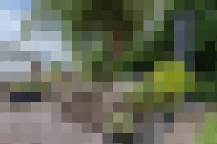 Watertuin 38 Wilnis thumbnail 38