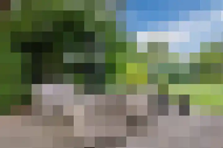 Watertuin 38 Wilnis thumbnail 39