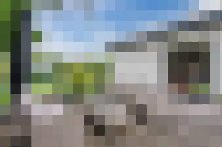 Watertuin 38 Wilnis thumbnail 40