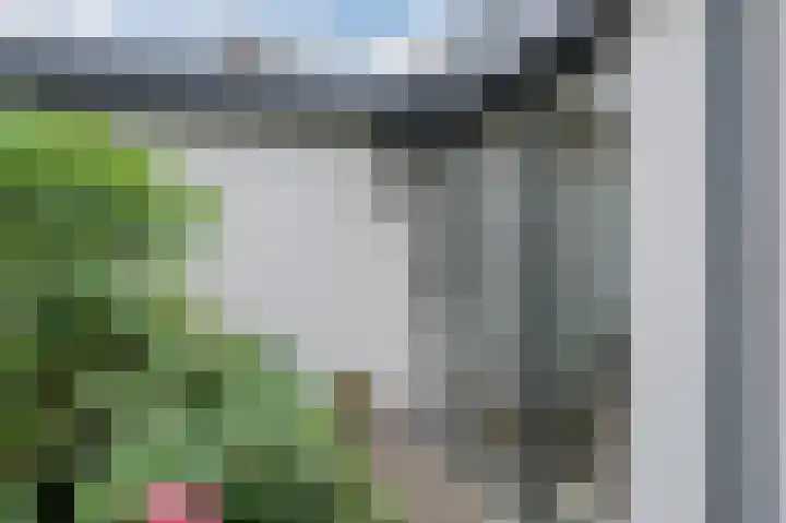 Watertuin 38 Wilnis thumbnail 42