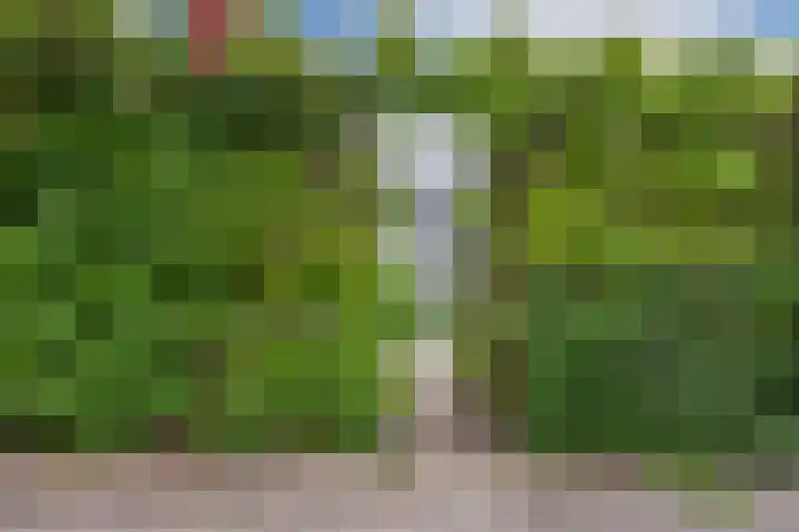 Watertuin 38 Wilnis thumbnail 44