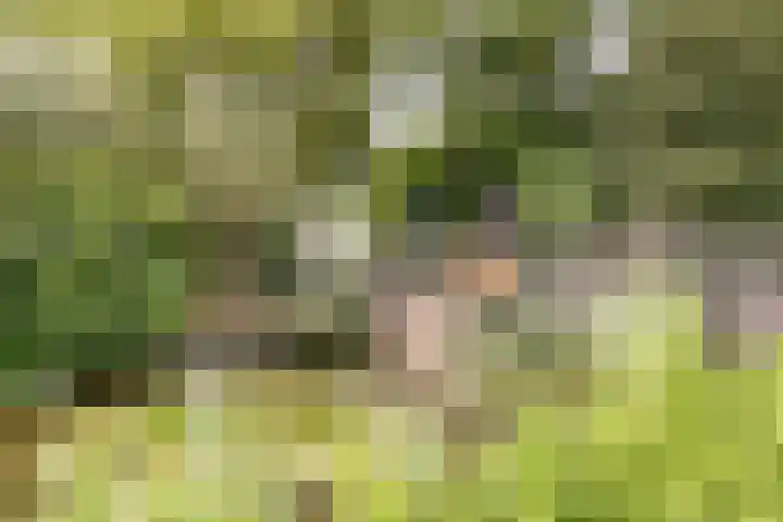 Watertuin 38 Wilnis thumbnail 48