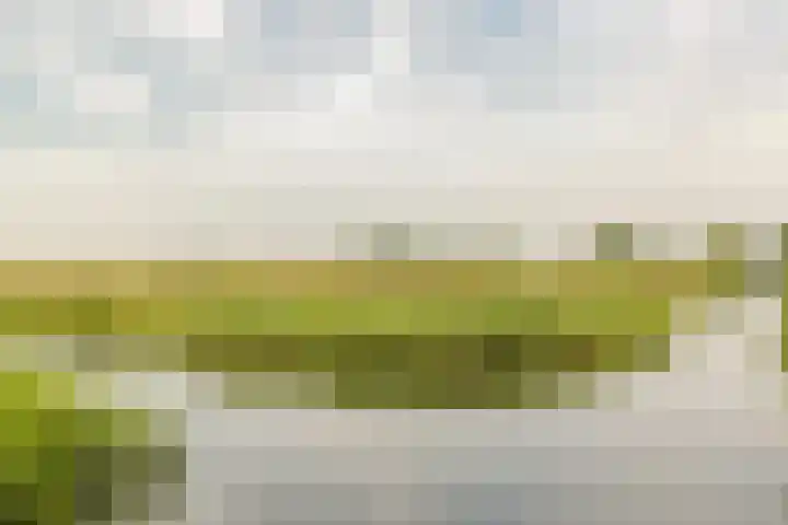 Watertuin 38 Wilnis thumbnail 49