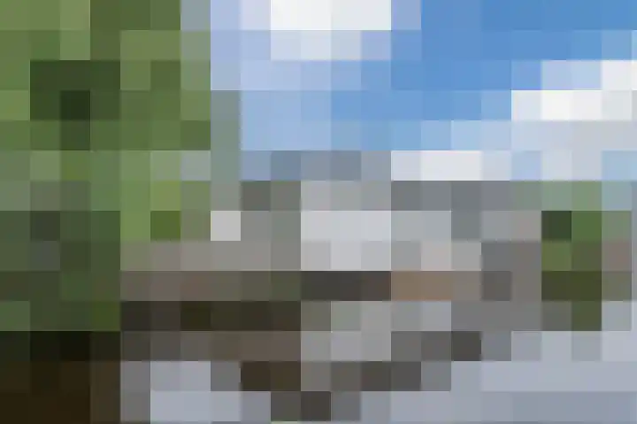 Watertuin 38 Wilnis thumbnail 54