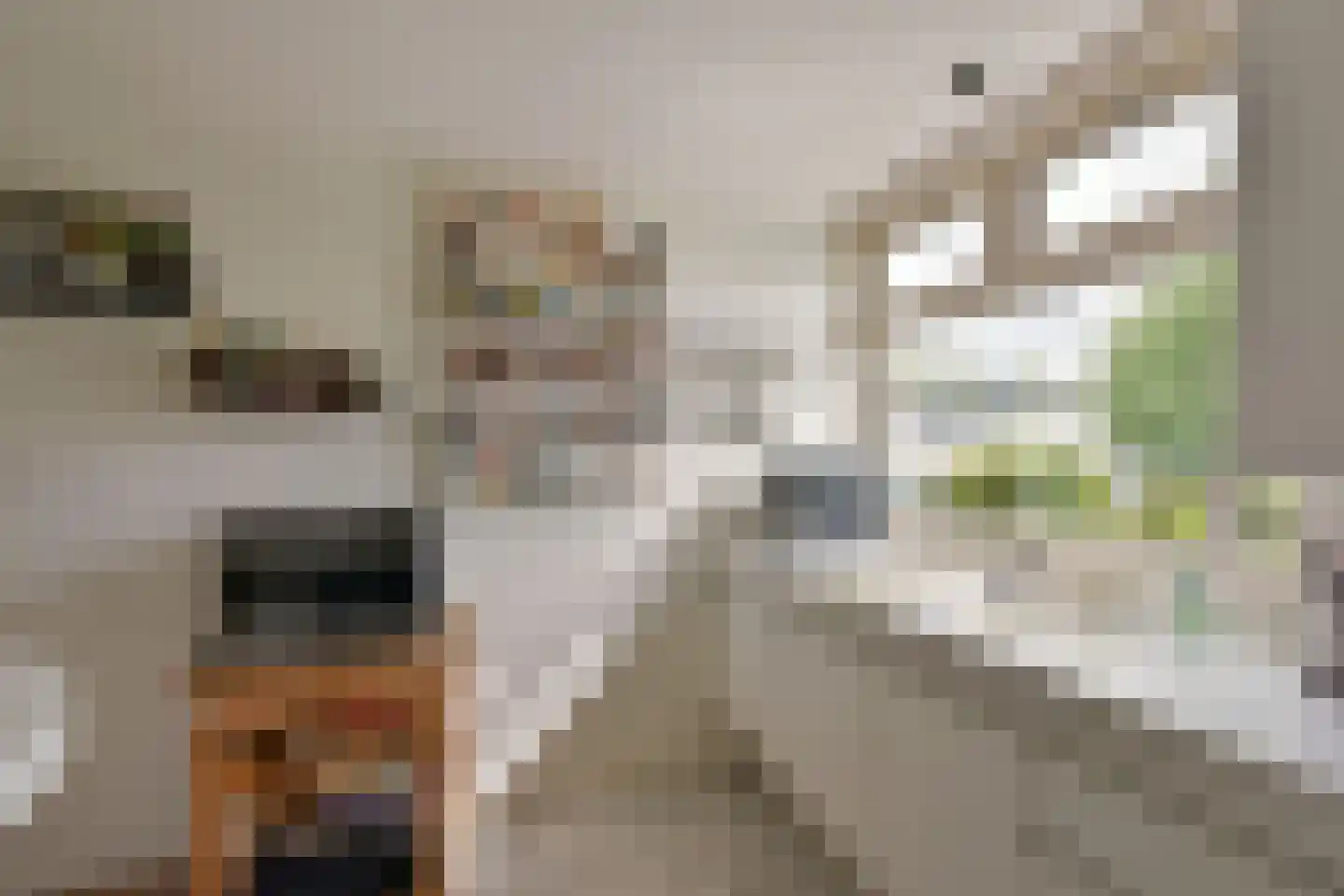 Watertuin 50 Wilnis thumbnail 11