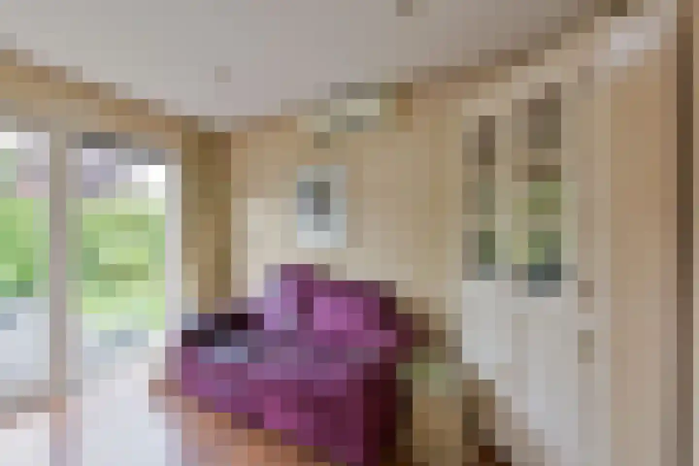 Watertuin 50 Wilnis thumbnail 15
