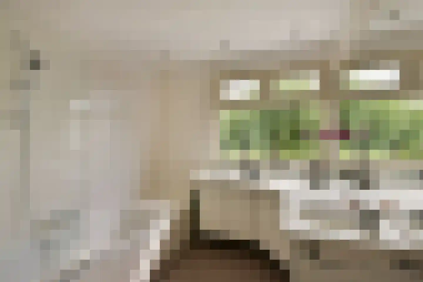 Watertuin 50 Wilnis thumbnail 22