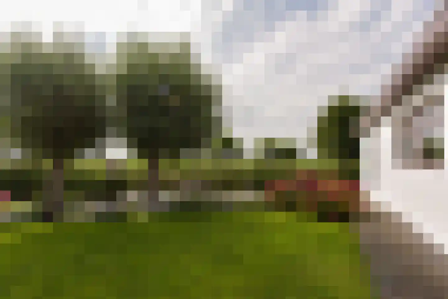 Watertuin 50 Wilnis thumbnail 32