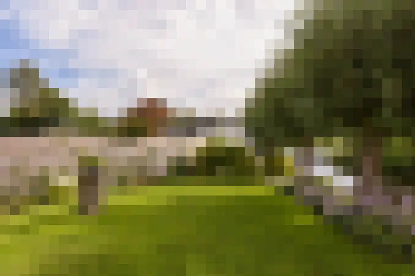 Watertuin 50 Wilnis thumbnail 34