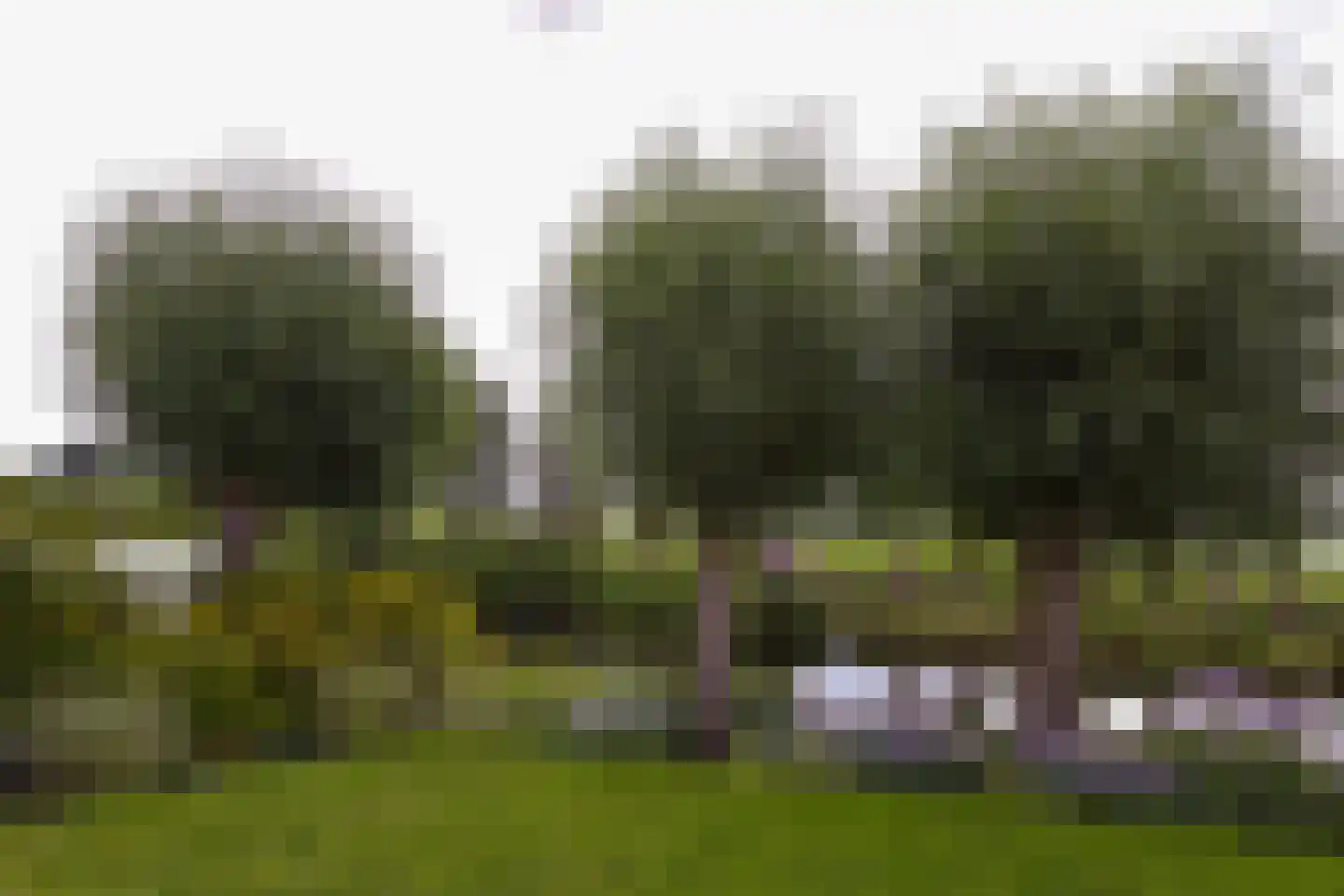 Watertuin 50 Wilnis thumbnail 35