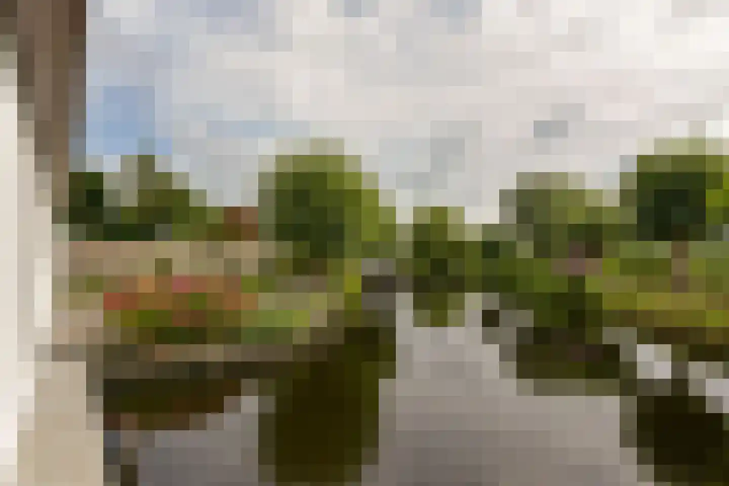 Watertuin 50 Wilnis thumbnail 36