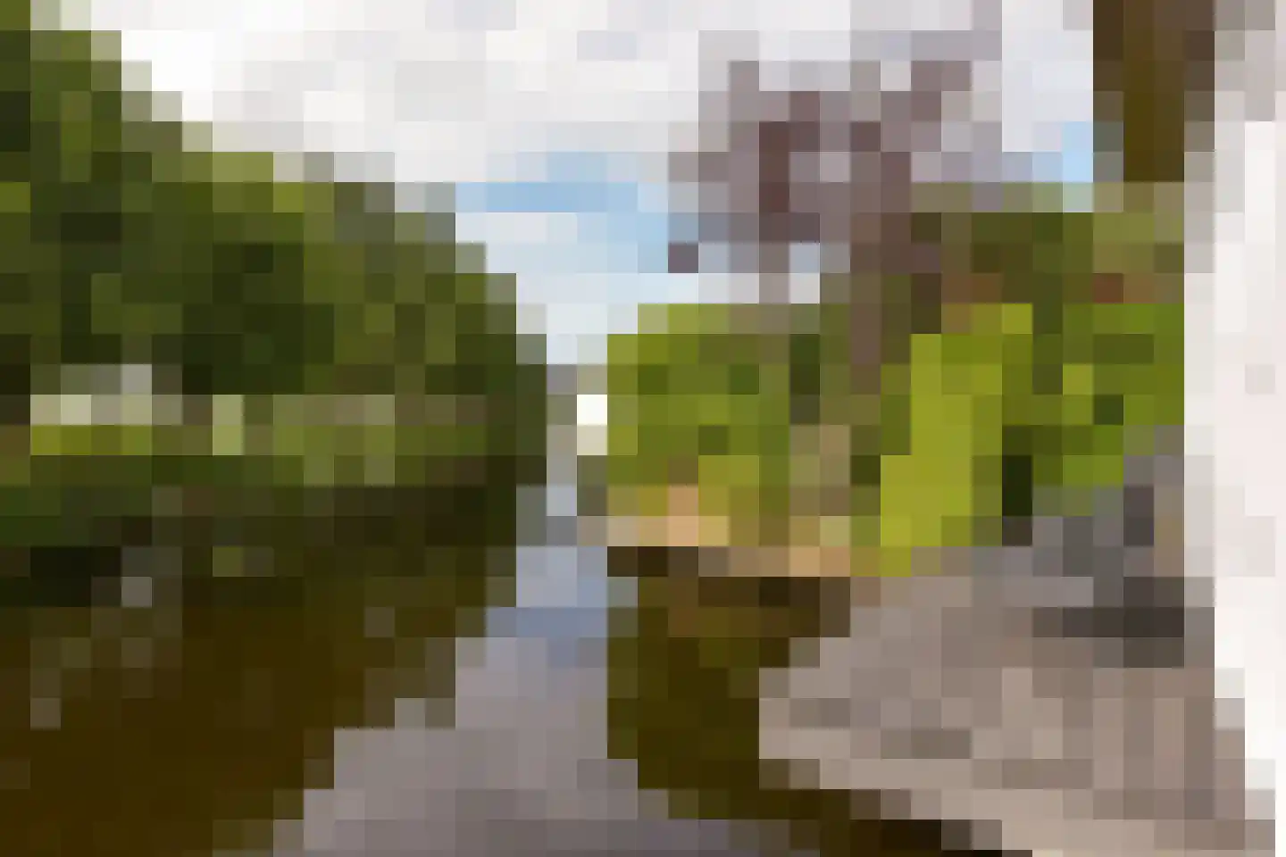Watertuin 50 Wilnis thumbnail 37