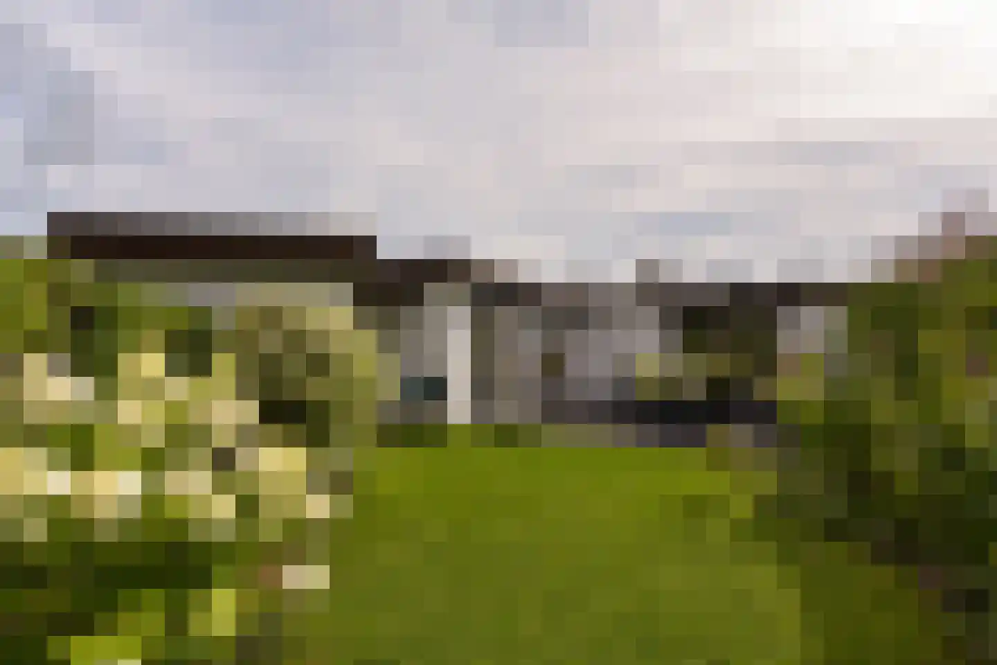 Watertuin 50 Wilnis thumbnail 39