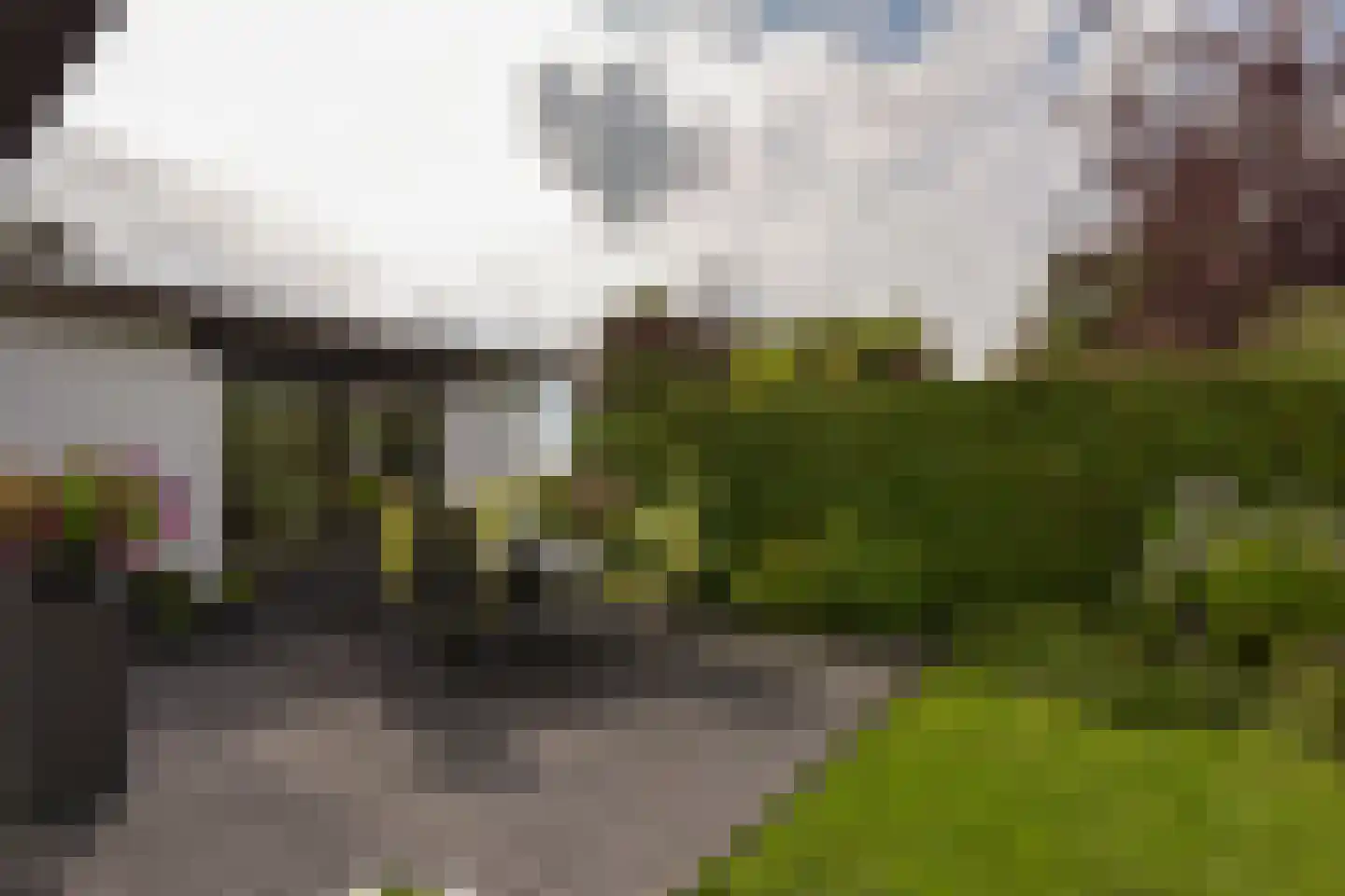 Watertuin 50 Wilnis thumbnail 40