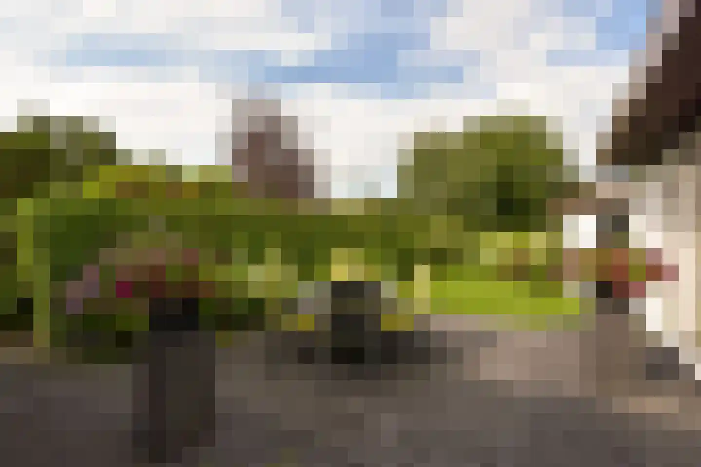 Watertuin 50 Wilnis thumbnail 41