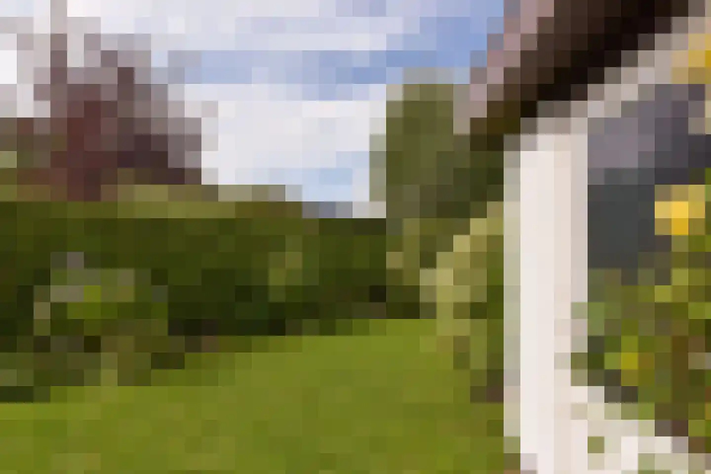 Watertuin 50 Wilnis thumbnail 42